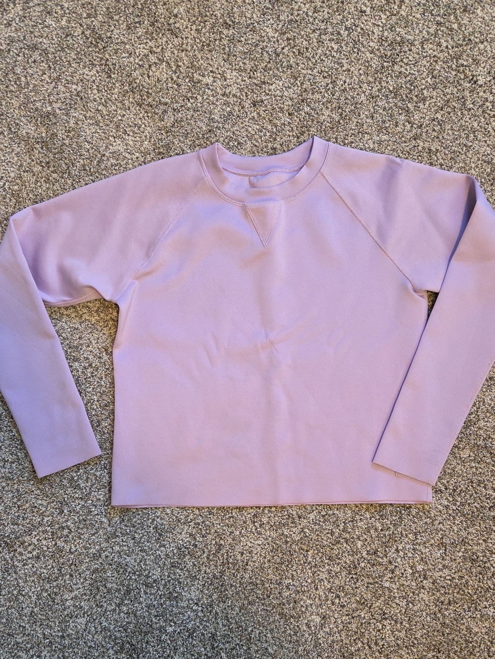 Albion Fit Neo Sweatshirt In Lilac